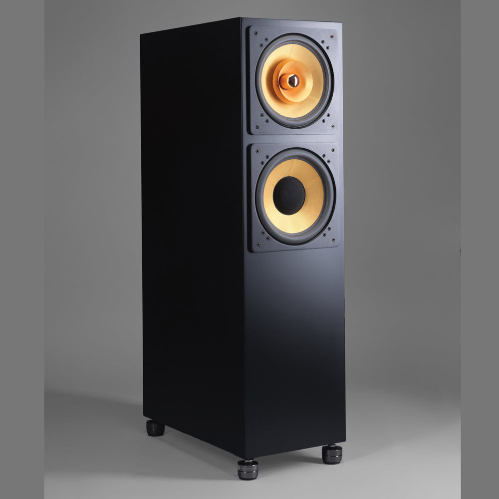 Cube Audio Lotus 10