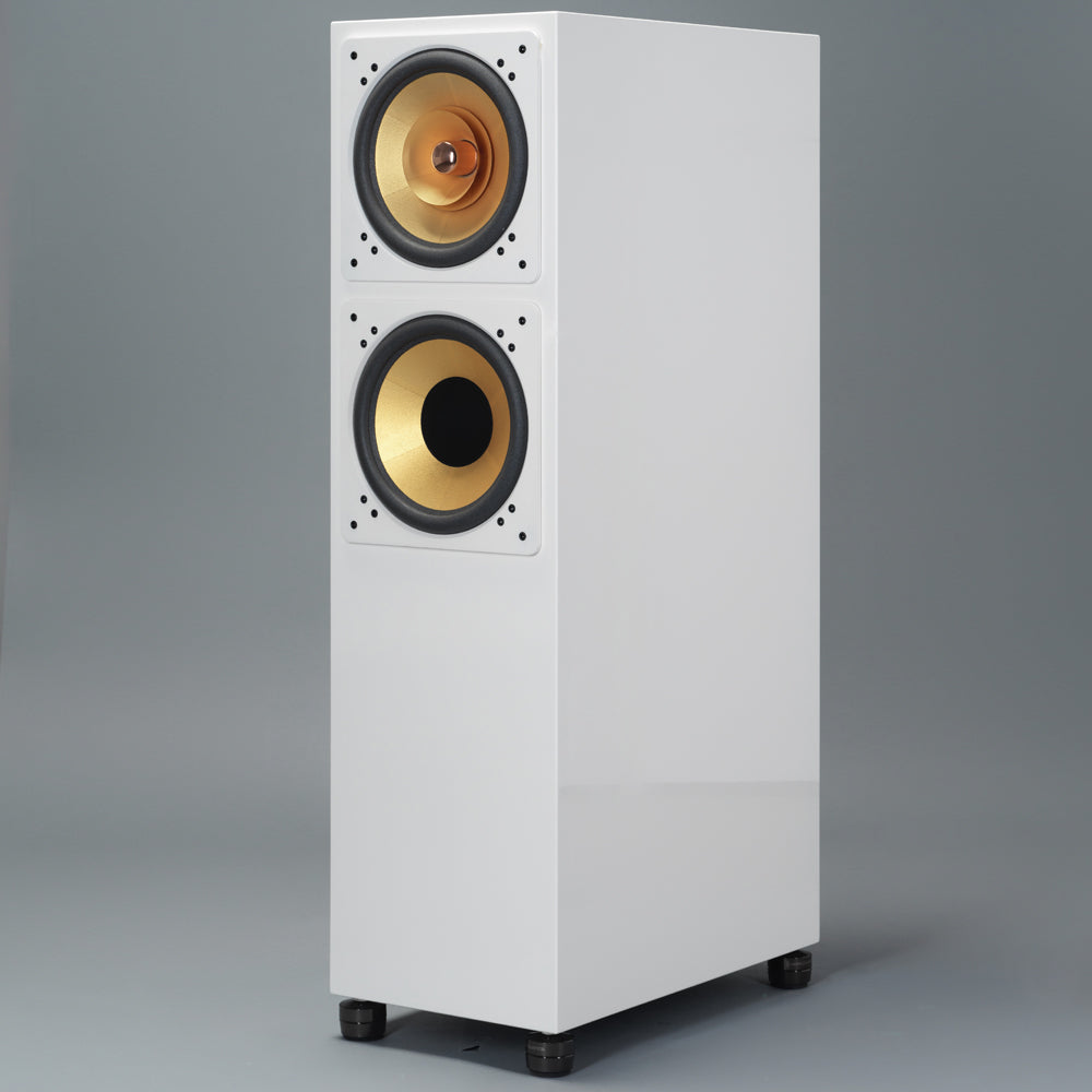 Cube Audio Lotus 10